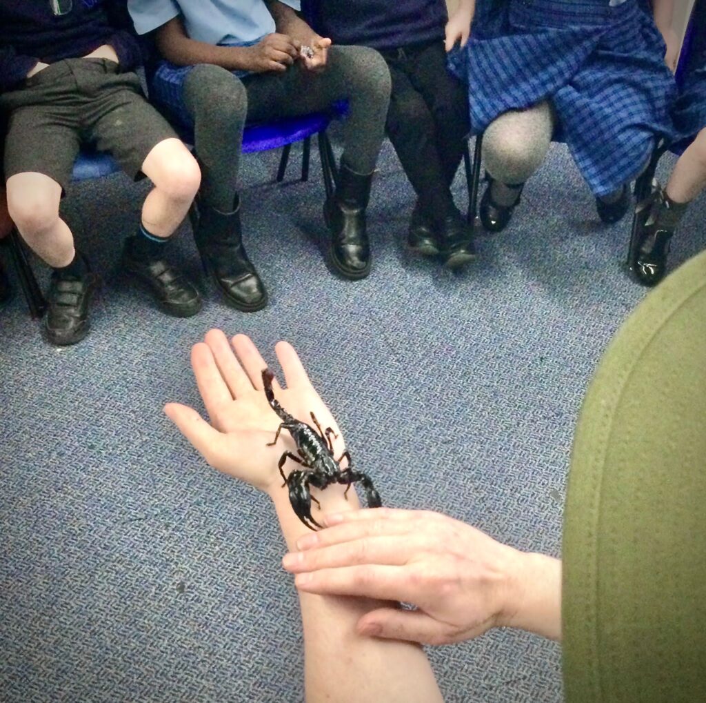 school presentations