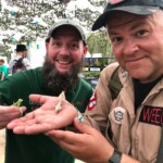 Festival presentations