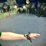 see a real live scorpion exotic pet presentations